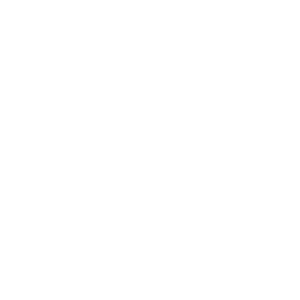 destruction No more styrofoam inserts icon