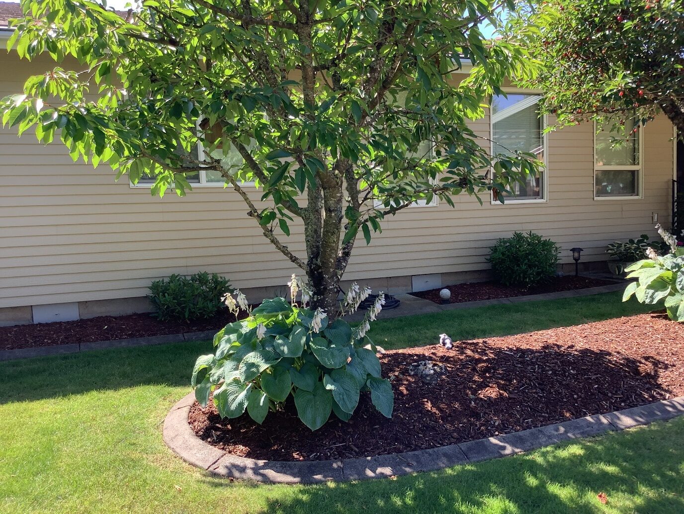 Custom crawl space vent covers by Vanity Vents.