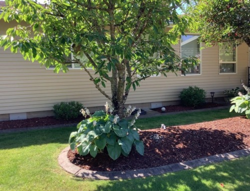 Add Instant Curb Appeal and Character to Your Home with Decorative Vent Covers