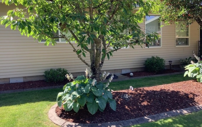 vent covers installed outside.