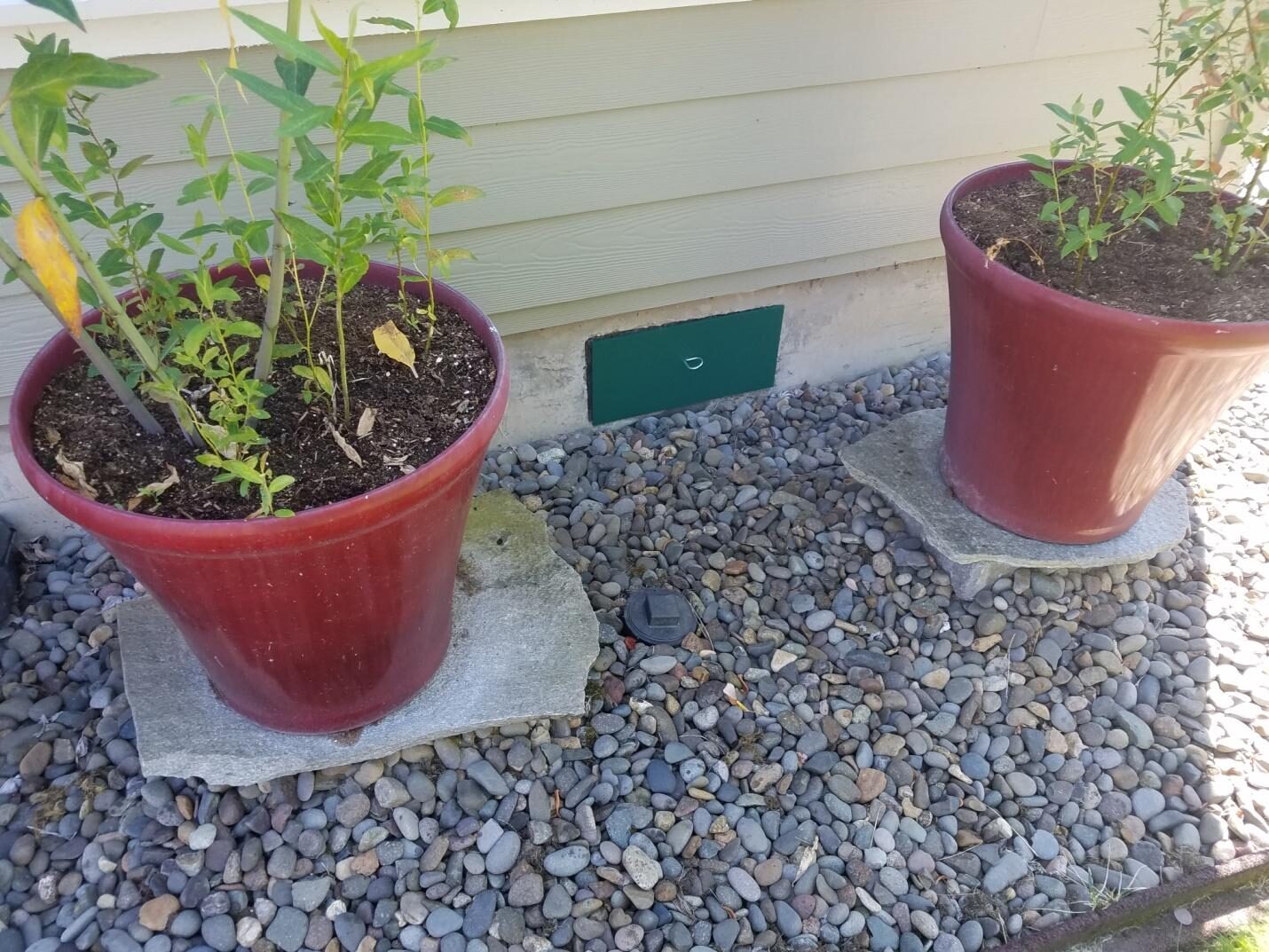  foundation vent cover installation.